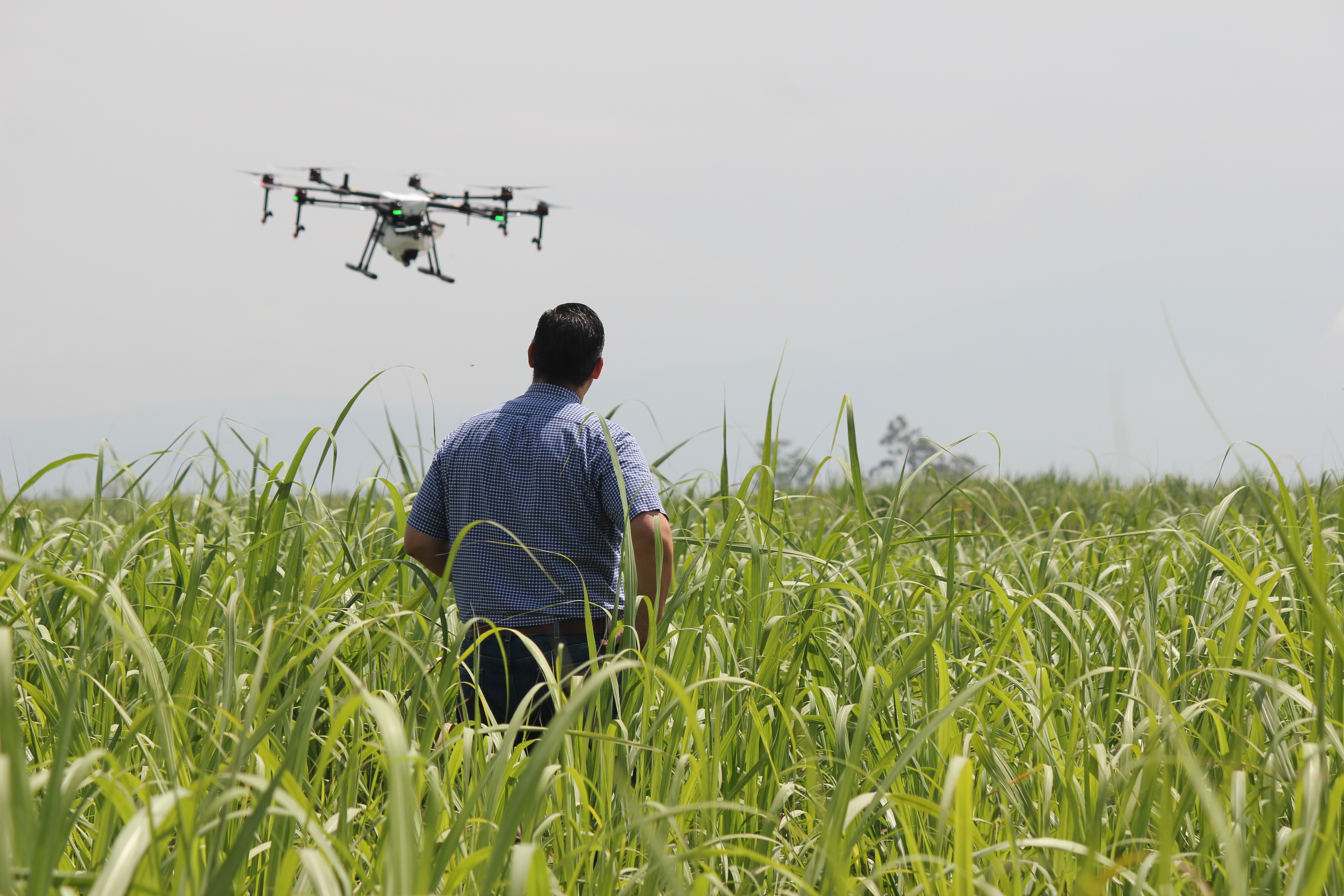 Agriculture Industry Image