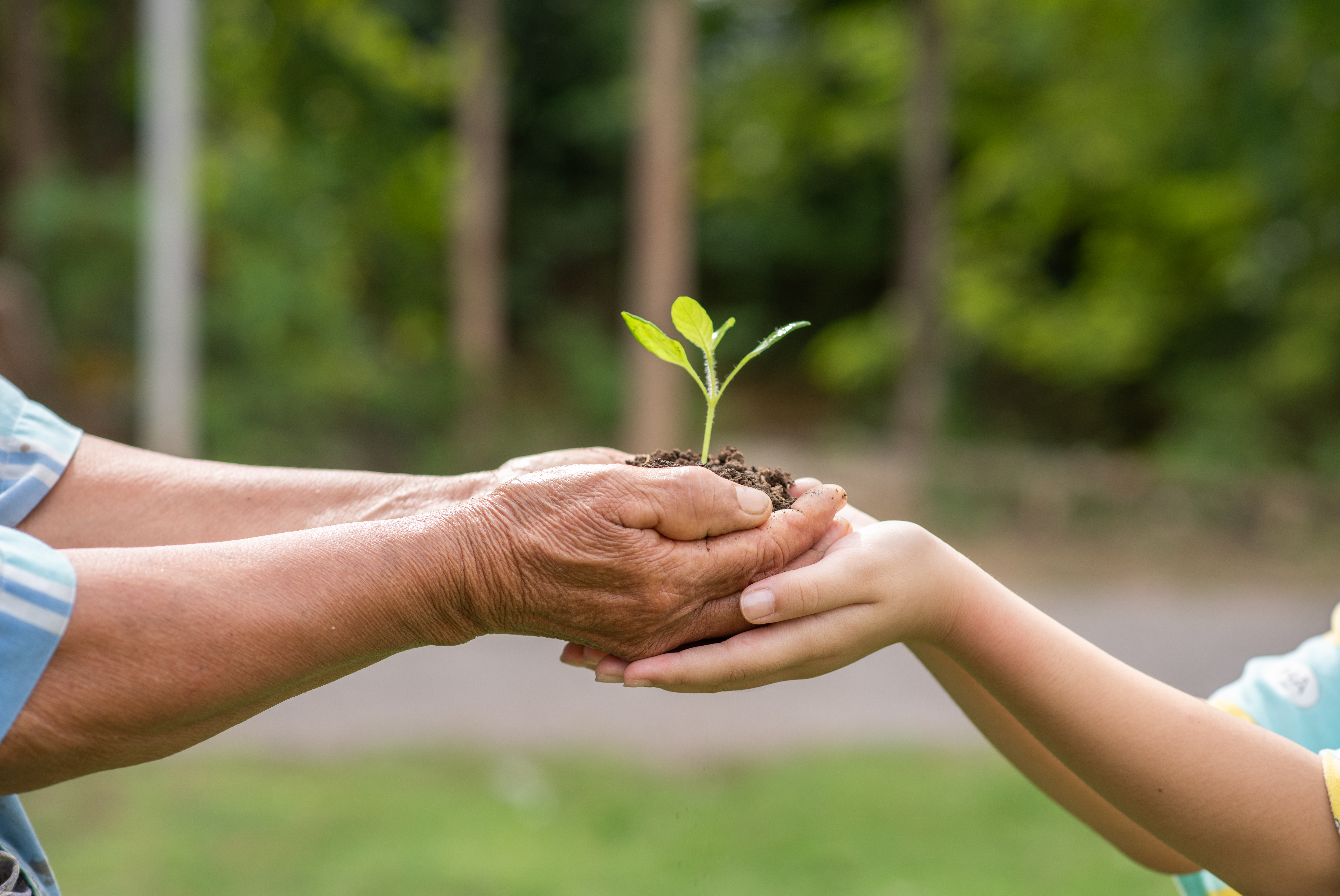 NGO and Non-Profit Solutions